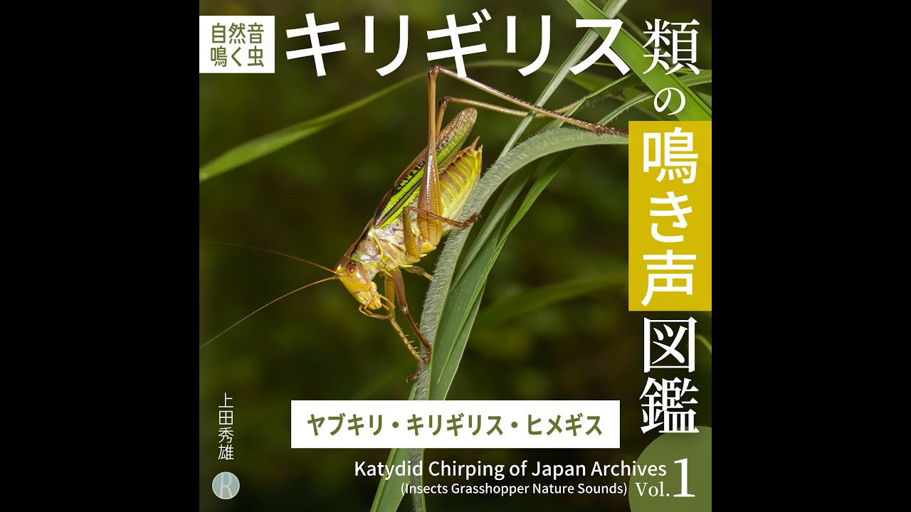 蟋蟀「蟋蟀」ベストアルバム