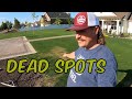 Lawn DEAD SPOTS issue. REEL MOW