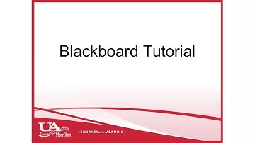UACCM Blackboard Tutorial