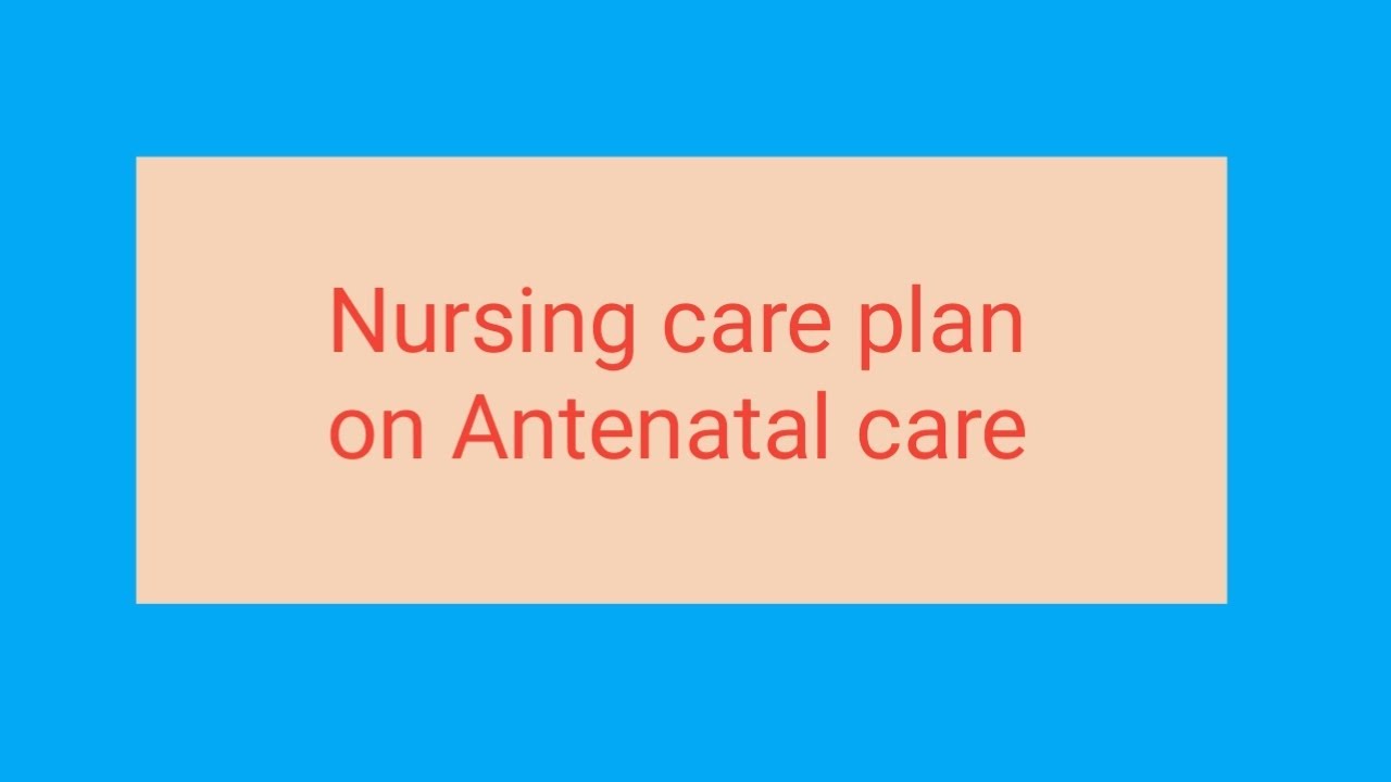 nursing-care-plan-on-antenatal-care-nursingcareplan-youtube