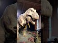 Natural History Museum London Dinosaurs