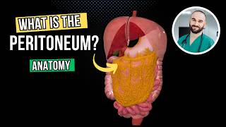 Peritoneum (Parts, Lesser & Greater Omentum, Mesentery, Peritoneal Cavity)