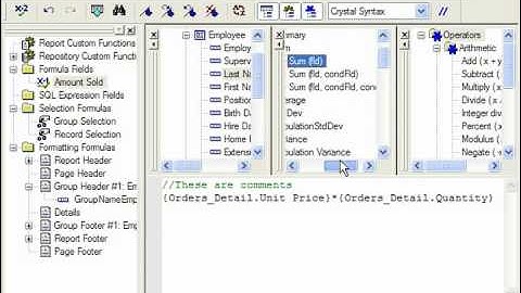 Crystal Reports Tutorial The Formula Workshop Business Objects Training Lesson 9.2