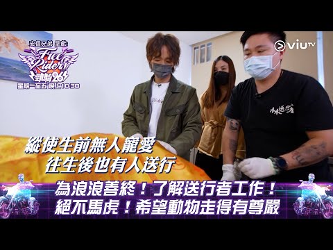 《勁騎26》為浪浪善終！了解送行者工作！絕不馬虎！希望動物走得有尊嚴