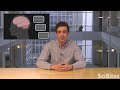 NIH SciBites: Tracking Down Seizures in the Brain