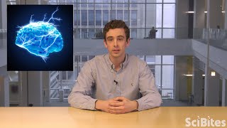 NIH SciBites: Tracking Down Seizures in the Brain
