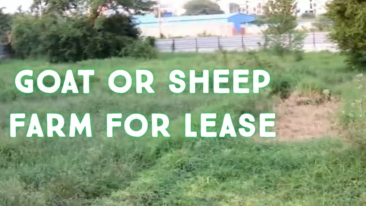 farm land for lease in Hyderabad Maheshwaram near tukkuguda flyover