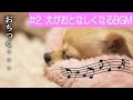 【犬のための音楽】#2 愛犬がおとなしくなる周波数のBGM 犬が落ち着くように設計されている曲 愛犬の睡眠を助けるためのリラックスした音楽 ストレス解消