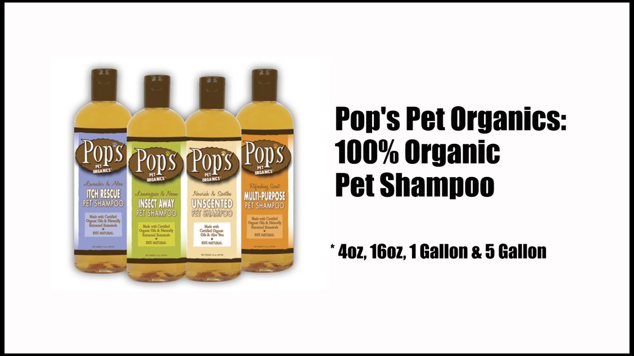 organic pet shampoo organic pet shampoo wholesale YouTube