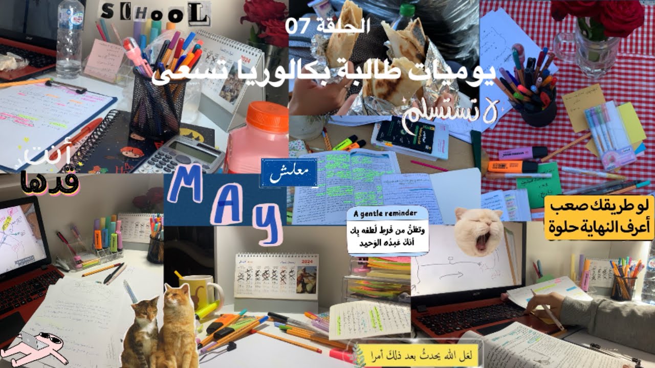 يوميات طالبة تسعى (شهر على البكالوريا ،تعب ،سهر (