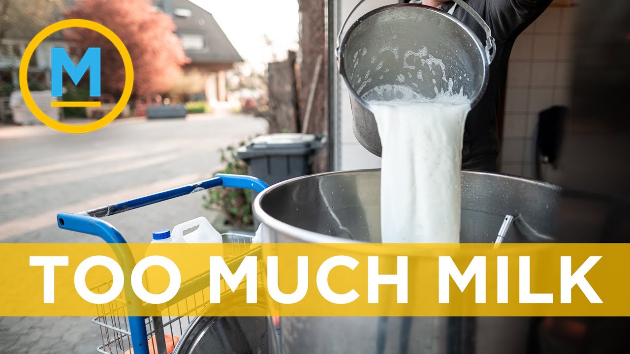 Why Canadian dairy farmers are being forced to dump their milk | Your ...