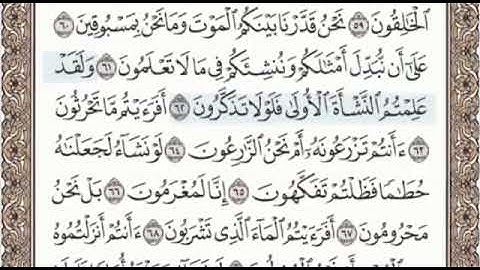 سورة الواقعة الصفحة 536 من الاية 51 الى 76 عبدالباسط عبدالصمد مجود