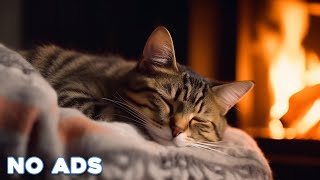 12 Hours Of Music For Cats to Fall Into Deep Sleep🐈Stress Relief ♬Heal Stress For Cat Soothing Piano by Healing Cat Music 3,305 views 3 weeks ago 12 hours