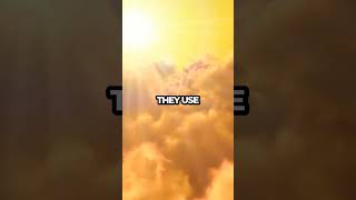 Reduce Waste Nourish Skin Earthlyglonets Sustainable shorts