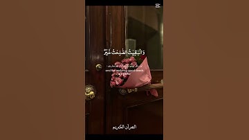 قرآن كريم #اللهم_صل_على_محمد_وال_محمد #اكسبلور_explore #اكسبلور #لايك #المصحف #الرحمن