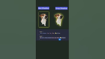 box-shadow vs drop-shadow in css #webdevelopment #html #css