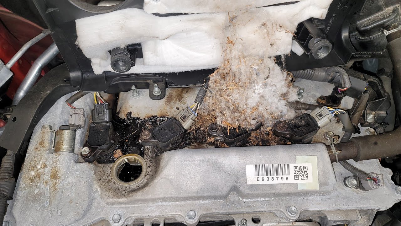 Customer states "I HAVE A COUPON FOR OIL CHANGE" SayNoMore!