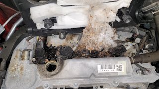 Customer states "I HAVE A COUPON FOR OIL CHANGE" SayNoMore!
