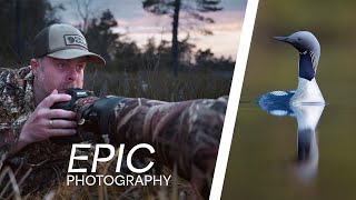 Download Lagu 2 days of camping // Bird photography and my best moment in 2025 MP3