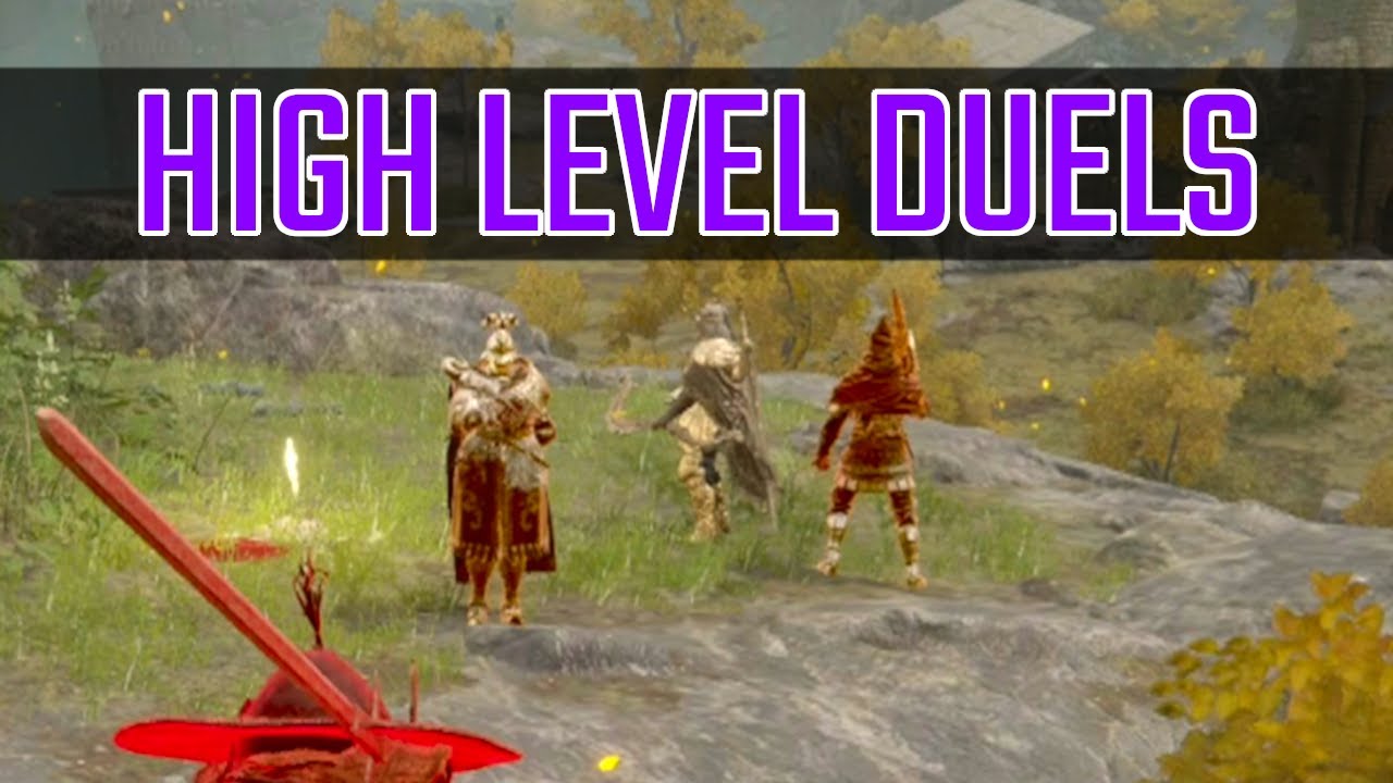 HIGH LEVEL PvP in Elden Ring be like...