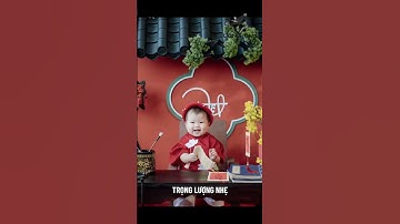 Ngói nhựa âm  dương Nhật Bản – Giải pháp mái Nhật cho công trình lớn | Lương Lâm Landscape