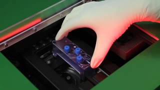 Tour of facilities available at KCLs Centre for Stem Cells and Regenerative Medicine