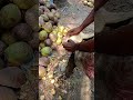 Eco-friendly coconut shells are used 🥥