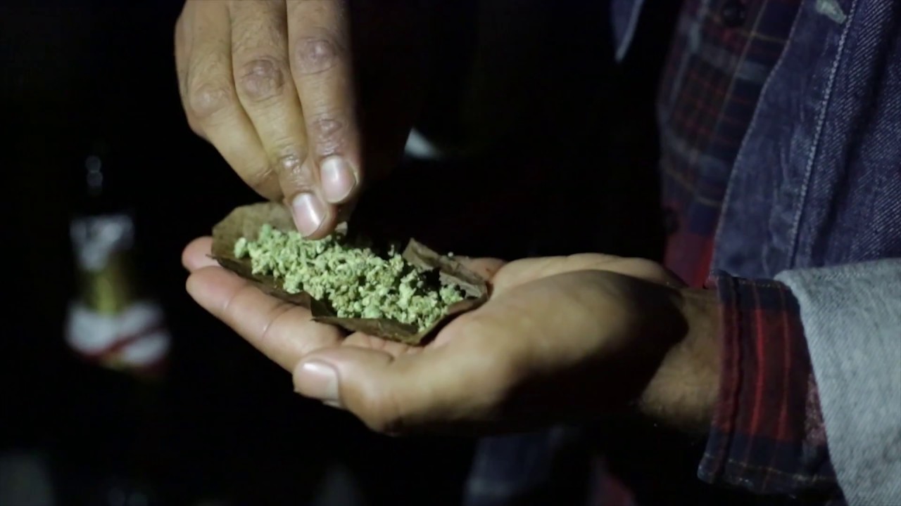 SUNRISE SERVICE X GREENHOUSETV