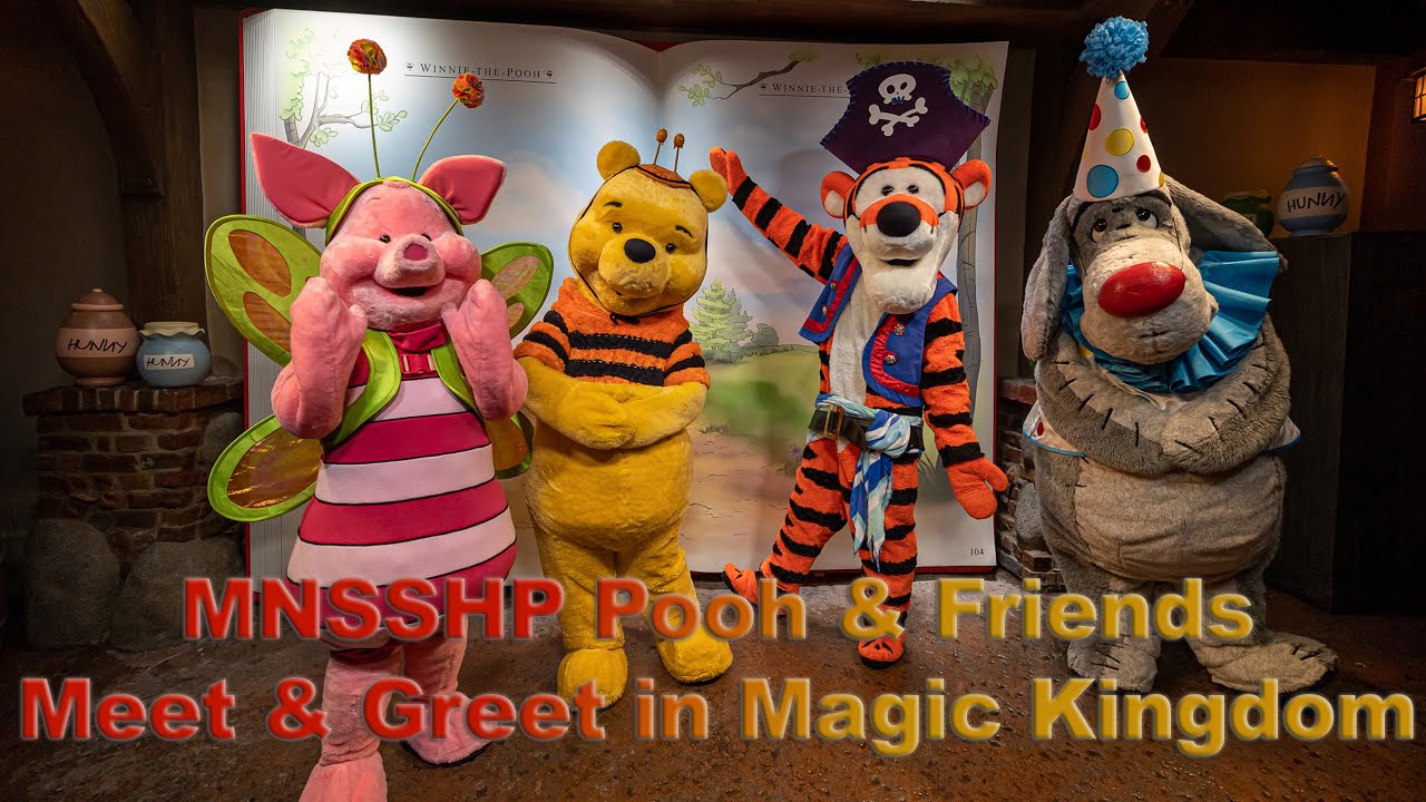 8K MNSSHP Pooh & Friends Meet & Greet in Magic Kingdom VR180 3D - YouTube