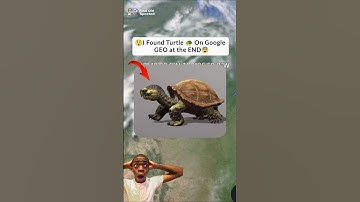 😲I Found Turtle car on the Google Earth😨#shorts #findoldspected