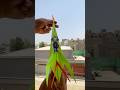 Monster Fighter Paper Airplane Fly Ground To Sky
