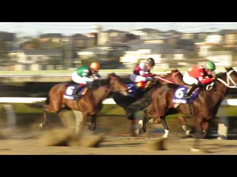 【第62回ニューイヤーカップ（SⅢ）】現地レース映像　ラスト３ハロン程　勝ち馬：トーセンガーネット
