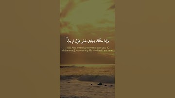 وإذا سألك عبادى عنى فإنى قريب - القاريء محمد كمال هاشم - حالات واتس اب دينية قصيرة قران كريم
