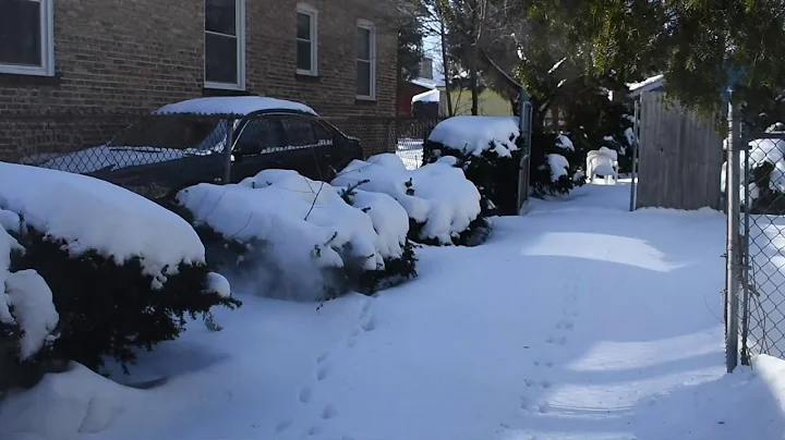 Boiling Water Experminent Freezing in Mid-Air During Polar Vortex in Chicago in Slow Motion (-46F)