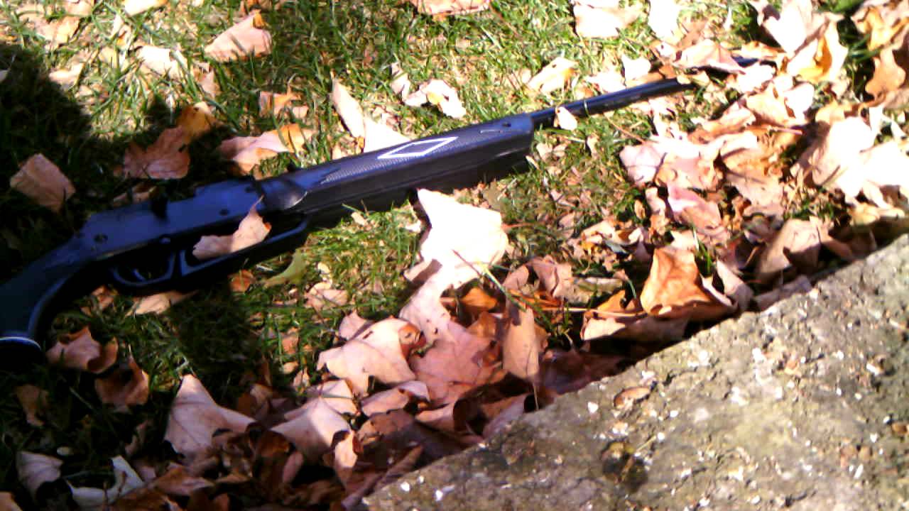 Daisy Powerline 880 Hunting Youtube