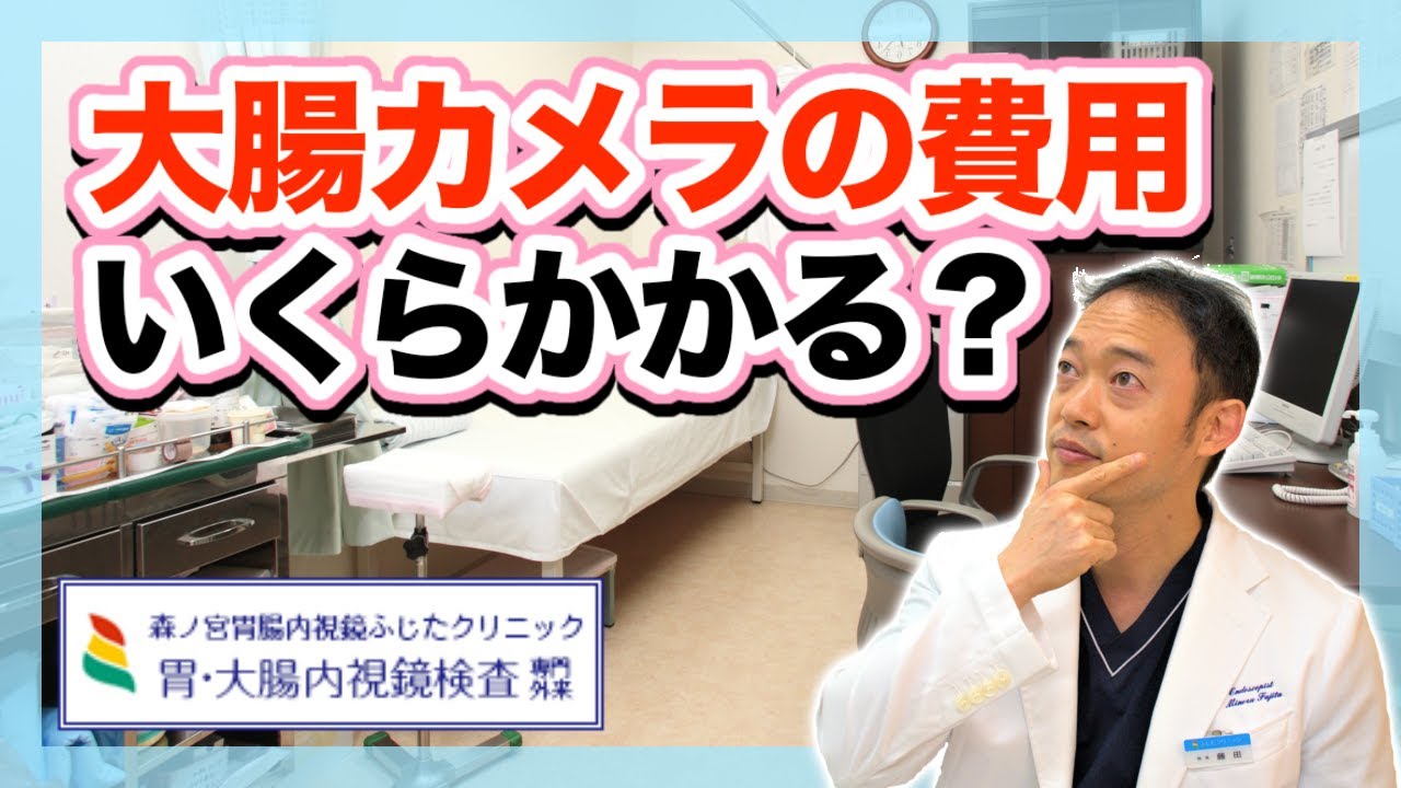 大腸 カメラ 費用