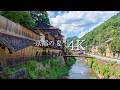 【京都の夏の原風景】北山大台杉と木造倉庫群 - JAPAN in 4K