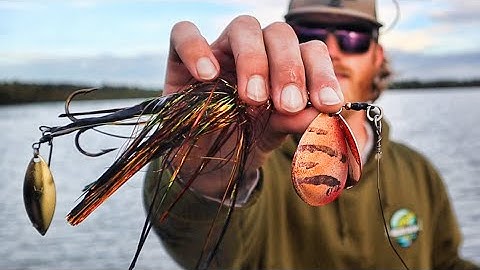 MUSKY FISHING NORTHERN WISCONSIN!! - Muskies on Tap and Sugs Fishing