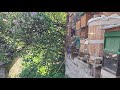🐝Mathias m🐝 überträgt einen Livestream.