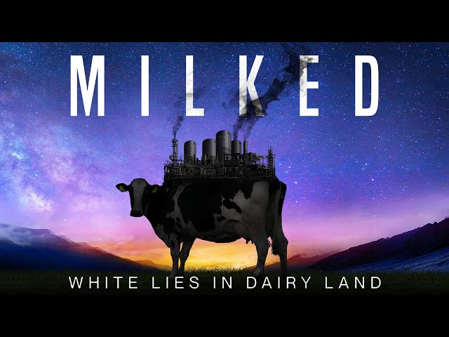 How The Dairy Industry Has Ruined The Planet | Milked (2022) | Full Film class=