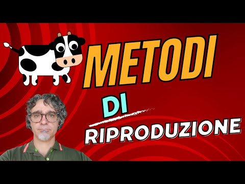 Video: Cincia bruna: descrizione e riproduzione