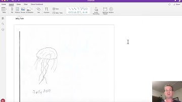 Inserting Pictures and Graphics in OneNote Lab 0