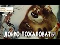 Добро пожаловать! (1986 год) мультфильм