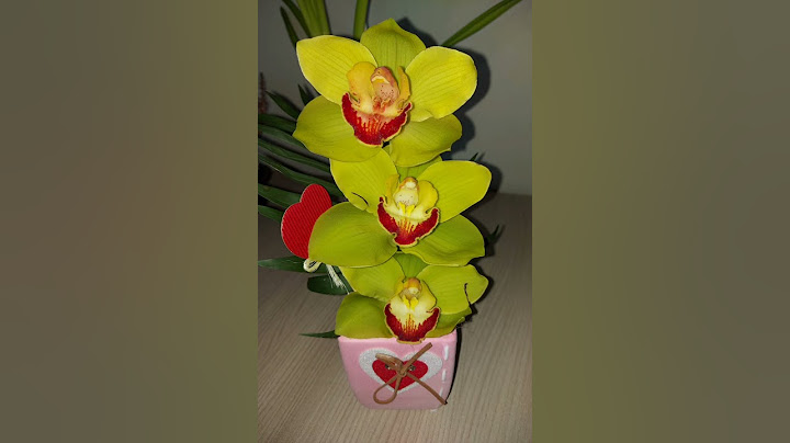 Buon San Valentino