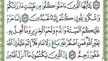 قراءة بالتهجى مع أحكام التجويد للآية رقم 173 سورة البقرة