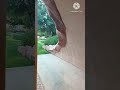منتزه الخور للعائلات 
