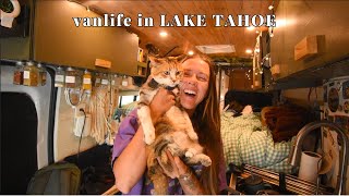 regular days of vanlife in LAKE TAHOE (will we ever leave?) by Kayli King - fastfamvan 8,675 views 8 months ago 15 minutes