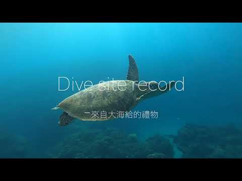 墾丁必去超美潛點｜FREEISLAND自由島嶼帶大家一起FUN DIVE