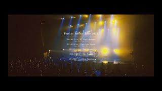 凛として時雨 Perfake Perfect Tour 21 Youtube