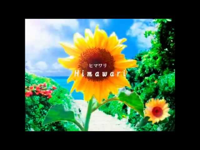 ヒマワリ (Himawari) [Full Version] - Riyu from BeForU class=